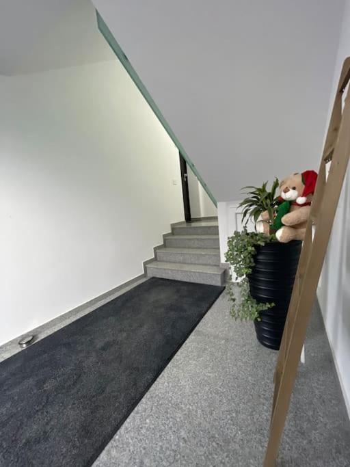 Apartament Timisoara 6 المظهر الخارجي الصورة
