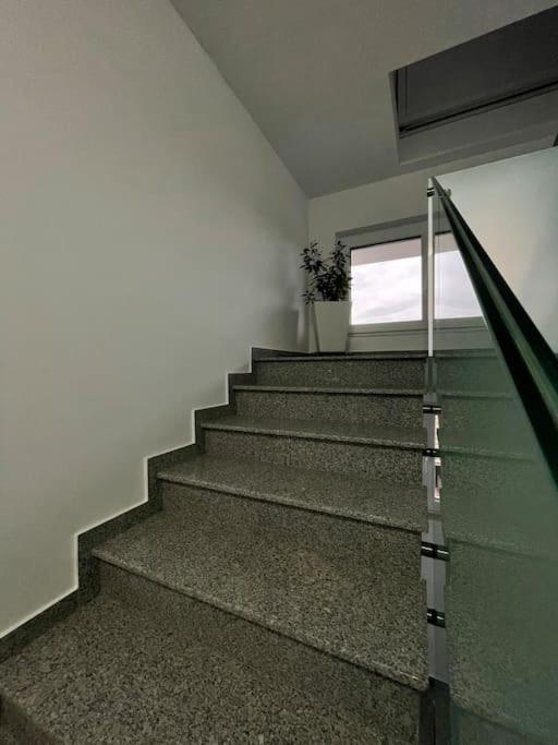 Apartament Timisoara 6 المظهر الخارجي الصورة